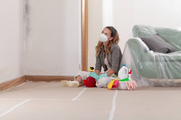 Reliable Mold Remediation contractor in Lakehurst, NJ by 24 Hour Mold Removal